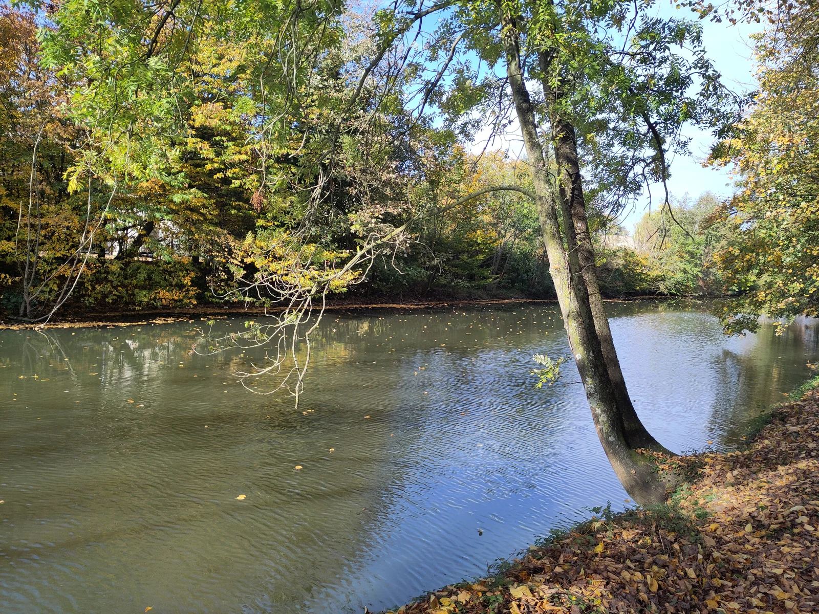 Golden autumn trees and quiet waters along the Hase river