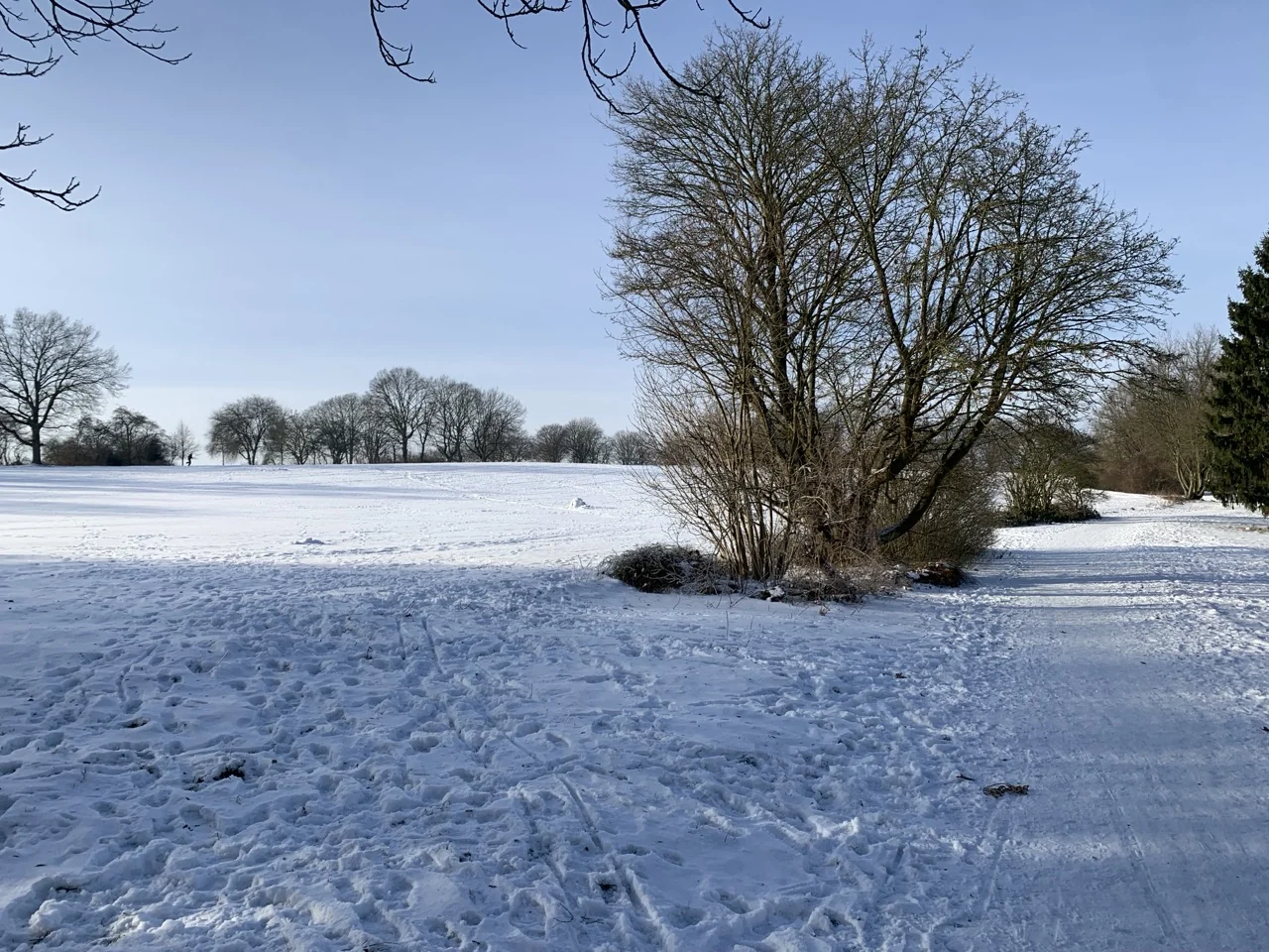 Open snow-covered landscape on a bright winter day in an Osnabrück park
